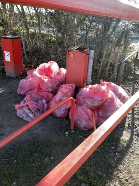 Litter Pick